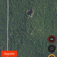 Heavily wooded, pond 80 acres
