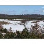 Simplistic, Relaxing, and Fun Trophy Hunting Vacation for Whole Family