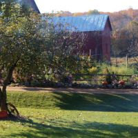 Family Owned Whitetail Hunting Outfitter with Private Ranch and Lodging