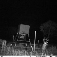 Tx spur 2