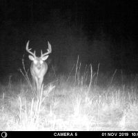 Tripod oct 31 2019 (91)