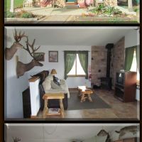 Trophy Elk & Whitetail Hunt Packages For Whole Family or Corporate Outings!
