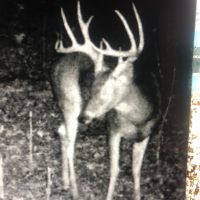 MS Delta Deer on Quiver River