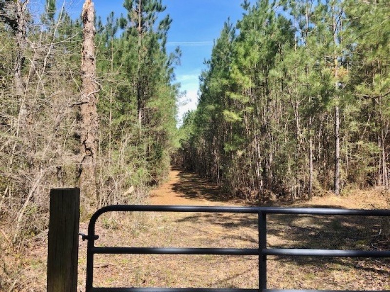 95 Acres Franklin Co. featured image