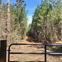 95 Acres Franklin Co.