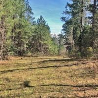 95 Acres Franklin Co. images 3