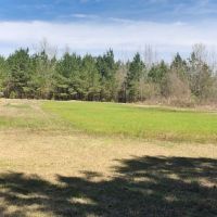 95 Acres Franklin Co. images 5