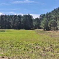 95 Acres Franklin Co. images 6