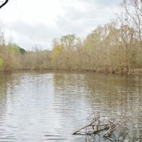105 Acres Land for Sale  Pasture  Cattle Farm  Hunting SW MS images 1