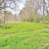 105 Acres Land for Sale  Pasture  Cattle Farm  Hunting SW MS images 5