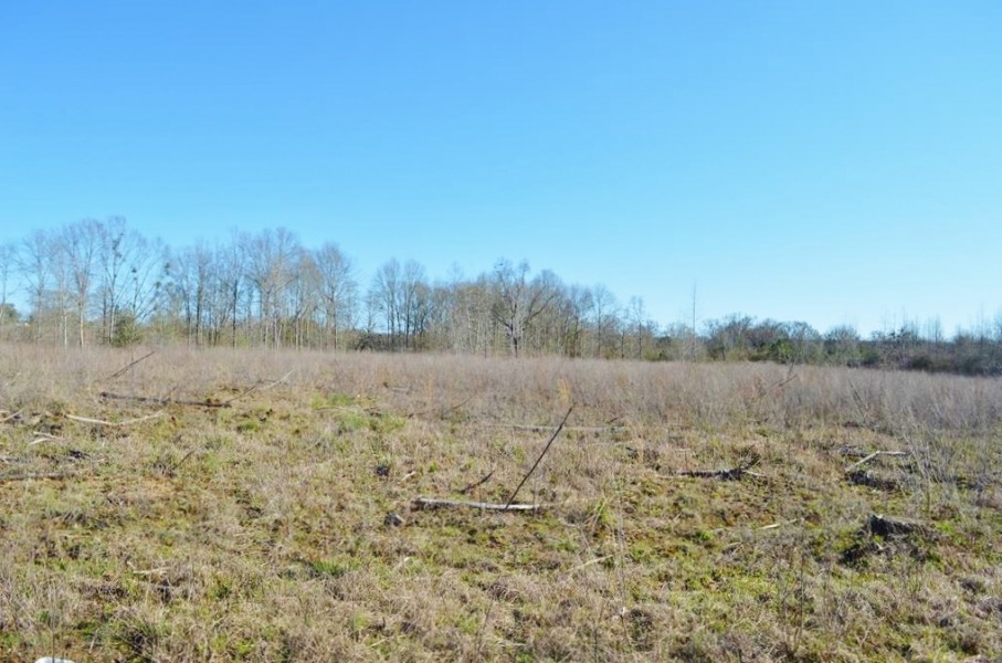23.48 Acres Vacant Land for sale in Lincoln County MS featured image