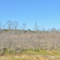23.48 Acres Vacant Land for sale in Lincoln County MS images 2
