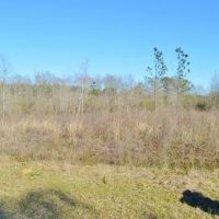 23.48 Acres Vacant Land for sale in Lincoln County MS images 3