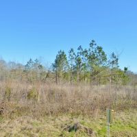 23.48 Acres Vacant Land for sale in Lincoln County MS images 4