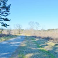 23.48 Acres Vacant Land for sale in Lincoln County MS images 5