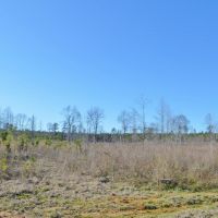 23.48 Acres Vacant Land for sale in Lincoln County MS images 6