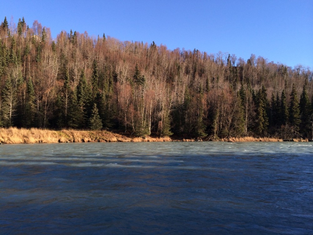 One Acre Kenai Peninsula - 3 4 Mile to World Famous Kenai River featured image
