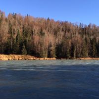One Acre Kenai Peninsula - 3 4 Mile to World Famous Kenai River