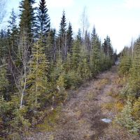 One Acre Kenai Peninsula - 3 4 Mile to World Famous Kenai River images 3