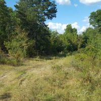 Recreational Land &nbsp; Kiamichi Mountains images 2