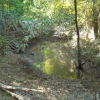 Recreational Land &nbsp; Kiamichi Mountains images 3