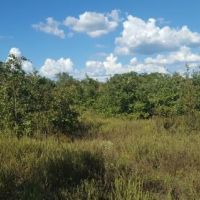Recreational Land &nbsp; Kiamichi Mountains images 5