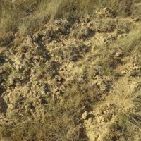 Recreational Land &nbsp; Kiamichi Mountains images 6