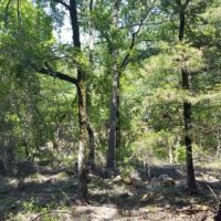 Kiamichi Wilderness Land for Sale