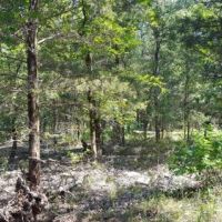 Kiamichi Wilderness Land for Sale images 2