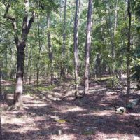 Kiamichi Wilderness Land for Sale images 5