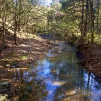 Oklahoma Hunting Land for Sale images 6