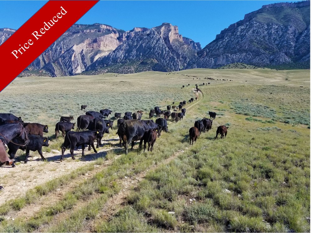 2079 Acre Wyoming Cattle Ranch- PRICE REDUCTION featured image