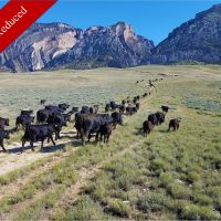 2079 Acre Wyoming Cattle Ranch- PRICE REDUCTION