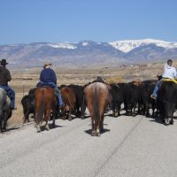 2079 Acre Wyoming Cattle Ranch- PRICE REDUCTION images 4