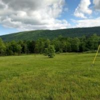 Hunting Property with Home for Sale images 2