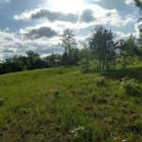 Hunting Property with Home for Sale images 4