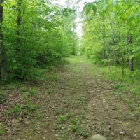 Hunting Property with Home for Sale images 5