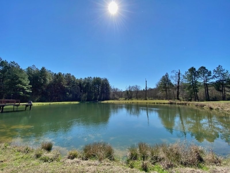 137.5 Acres Patterson RD featured image