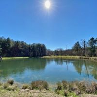 137.5 Acres Patterson RD
