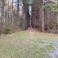 137.5 Acres Patterson RD images 2