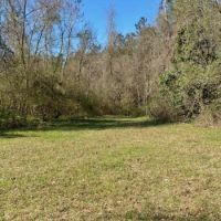 137.5 Acres Patterson RD images 3