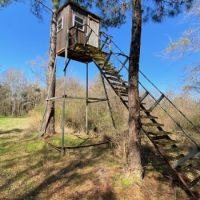 137.5 Acres Patterson RD images 4