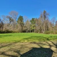 137.5 Acres Patterson RD images 5