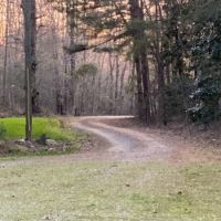 137.5 Acres Patterson RD images 6