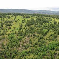 Stonewood Meadows Ranch images 3