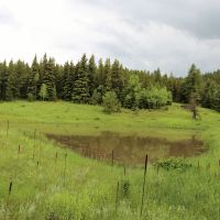 Stonewood Meadows Ranch images 4