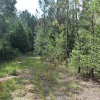 30-009-flomaton-welka-tract-3 images 4