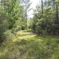 30-009-flomaton-welka-tract-3 images 5