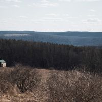 5 acres Bordering State Forest Smyrna NY images 3