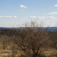 5 acres Bordering State Forest Smyrna NY images 5